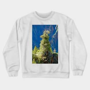 Black Canyon Tree Crewneck Sweatshirt